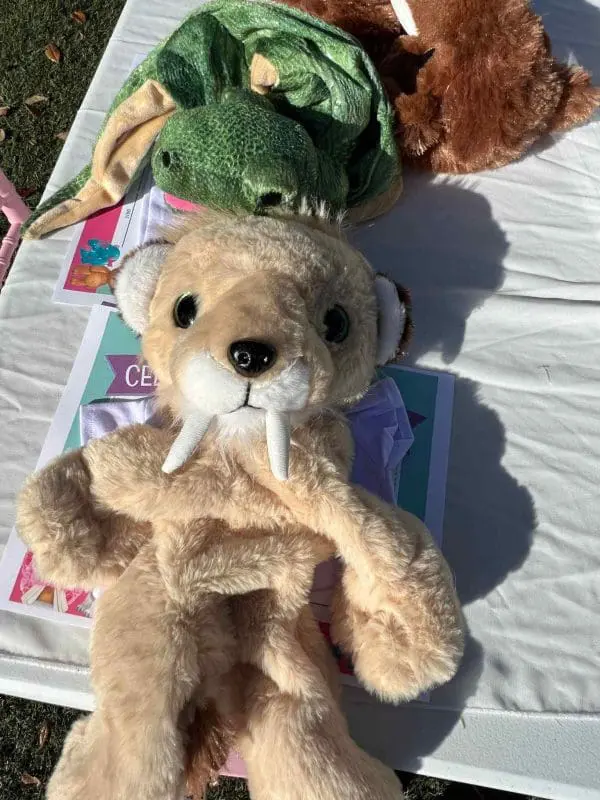 Two stuffed animal toys, a beige saber-toothed creature and a green dragon, lie on a white surface outdoors, partially covering some printed materials. Perfect for any kids party rental setup, these adorable plushies add playful charm to your event.