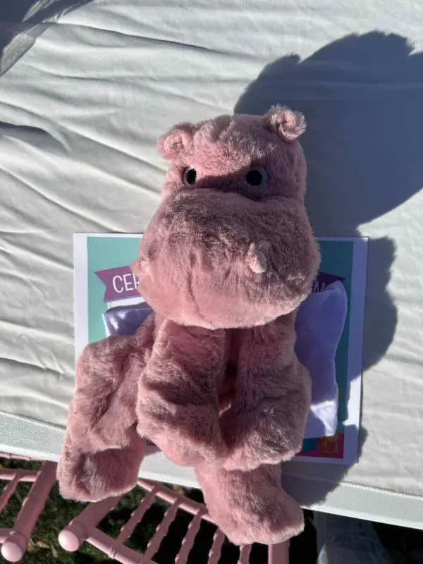 A plush pink hippopotamus toy from Build A Bear, sitting on a pink chair in front of a white background, with a certificate behind it.