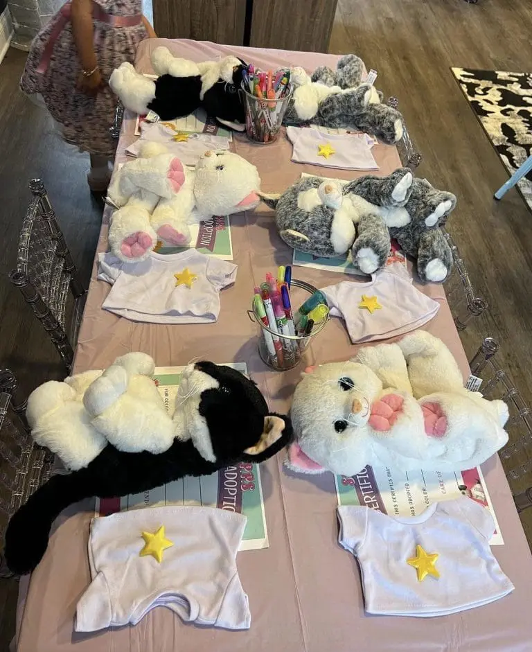 Build-A-Bear Party