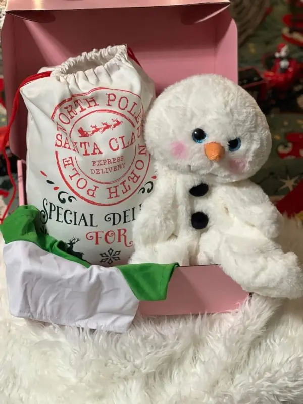 A plush snowman toy seated in a Holiday Build-A-Bear Party Box, with a white and red "north pole santa claus express" delivery sack beside it, set on a white furry surface.