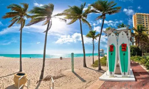 A sunny beach scene with palm trees, a lifeguard stand, and a clear blue sky, flanked by a high-rise building on one side in the areas we serve.