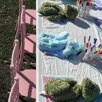 Build A Stuffed Animal Party