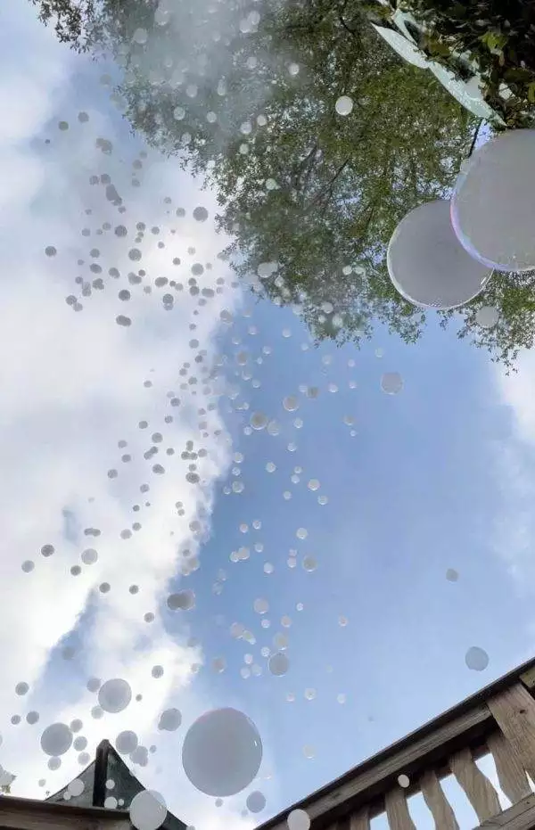 Numerous soap bubbles from a Frogger F4 Bubble Fogger Rental floating upwards against a blue sky with scattered clouds and tree branches at the edges.