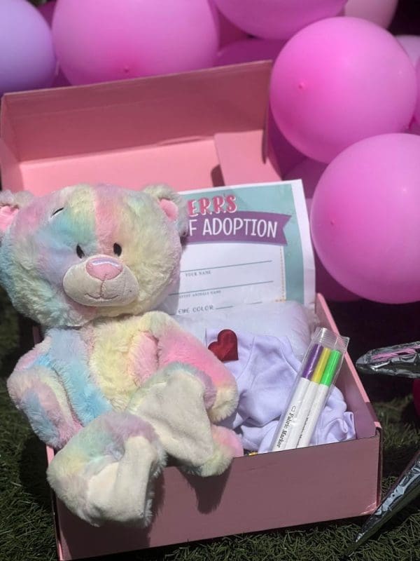 A colorful teddy bear from Build A Stuffed Animal and an adoption certificate inside a pink Slumber Party Box with pink balloons in the background.