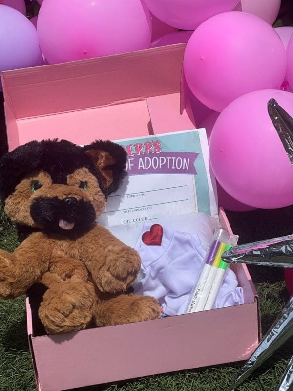 A Build A Stuffed Animal plush teddy bear in a pink Slumber Party Box with a "certificate of adoption," surrounded by pink and purple balloons.