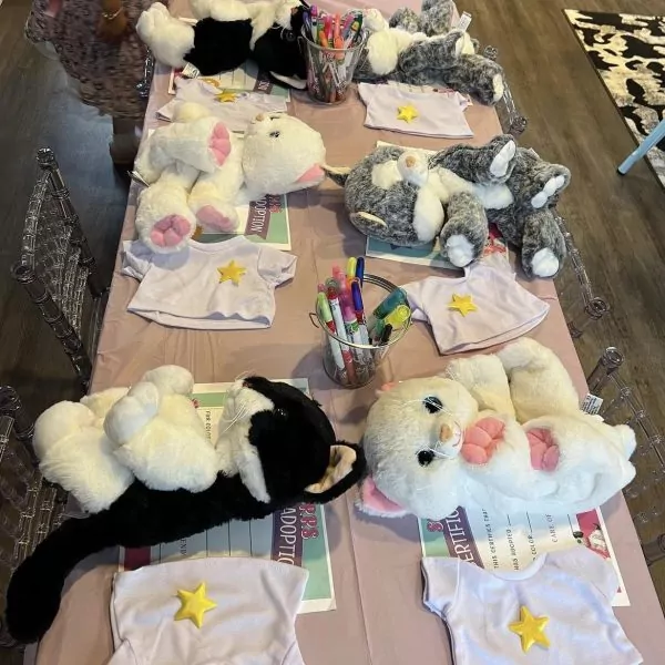 Several stuffed animals arranged on a table for a Slumberr Party craft activity, each paired with markers and a white t-shirt.