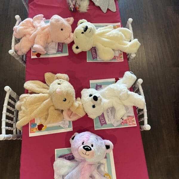 A charming display featuring an assortment of plush teddy bears and vibrant craft supplies meticulously arranged on a soft pink tablecloth, accompanied by award certificates, sets the stage for an engaging and creative activity. This delightful setup promises a captivating afternoon filled with hands-on crafting fun and bear-themed adventures. Perfect for children's events or DIY enthusiast gatherings, this scene captures the essence of creativity and playful imagination.