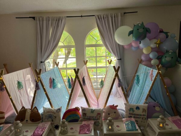 Squishmallow Party Theme