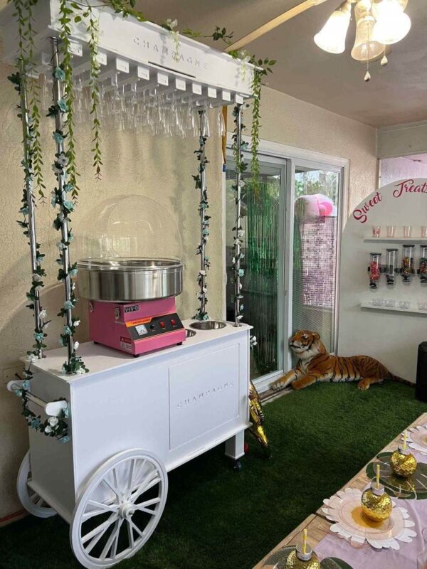Cotton Candy Machine With Dome Rental - Image 2
